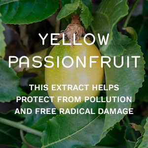SPF Ingredient 2 - Yellow Passionfruit