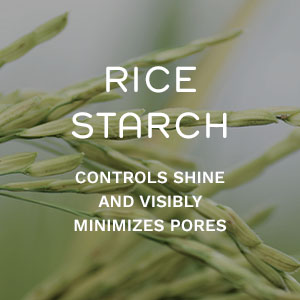 SPF Ingredient 3 - Rice Starch