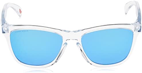 Oakley Unisex-Adult Frogskins Sunglasses, One Size